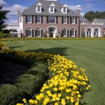 A large house with yellow flowers in the front yard.