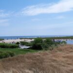 A view of the ocean from an overlook.